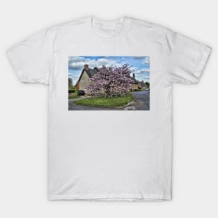 Ashby St Ledgers thatched cottages T-Shirt